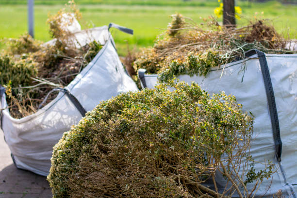 Best Office Junk Removal  in Bluff City, TN